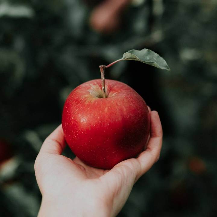 Organic Honeycrisp Apples